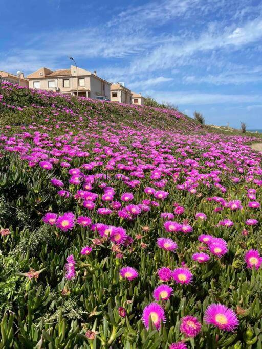 Ferienwohnung Miramar V Torrevieja Bagian luar foto
