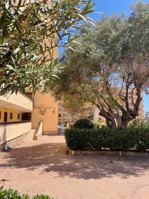Ferienwohnung Miramar V Torrevieja Bagian luar foto